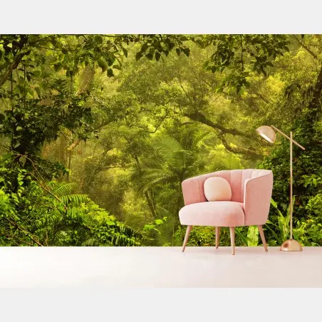 Wall mural lush rainforest canopy near Cairns • Wallissimo®
