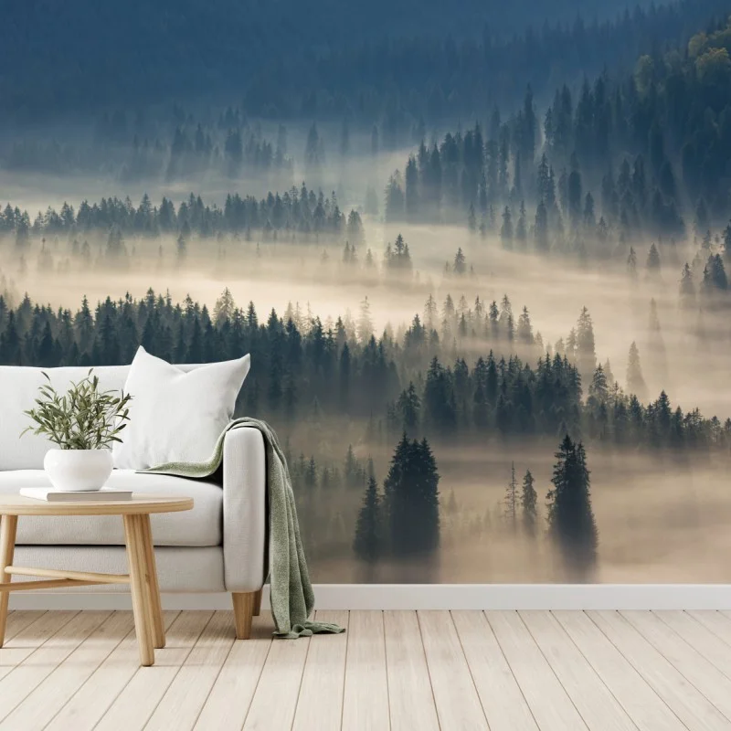 Wall mural misty conifer forest at dawn