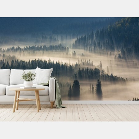 Wall mural misty conifer forest at dawn • Wallissimo®