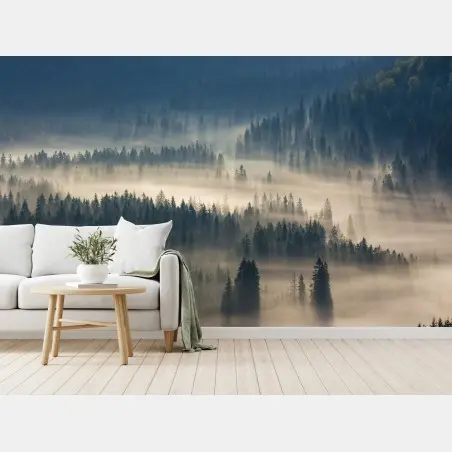 Wall mural misty conifer forest at dawn • Wallissimo®