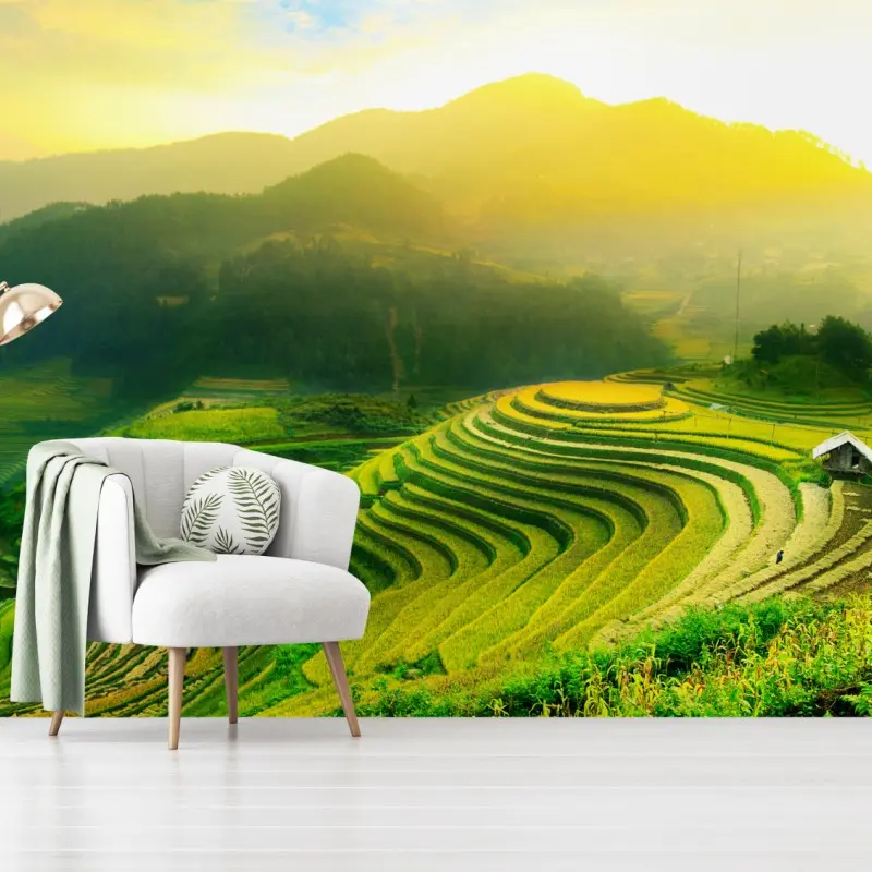 Wall mural golden terraced rice fields at sunrise