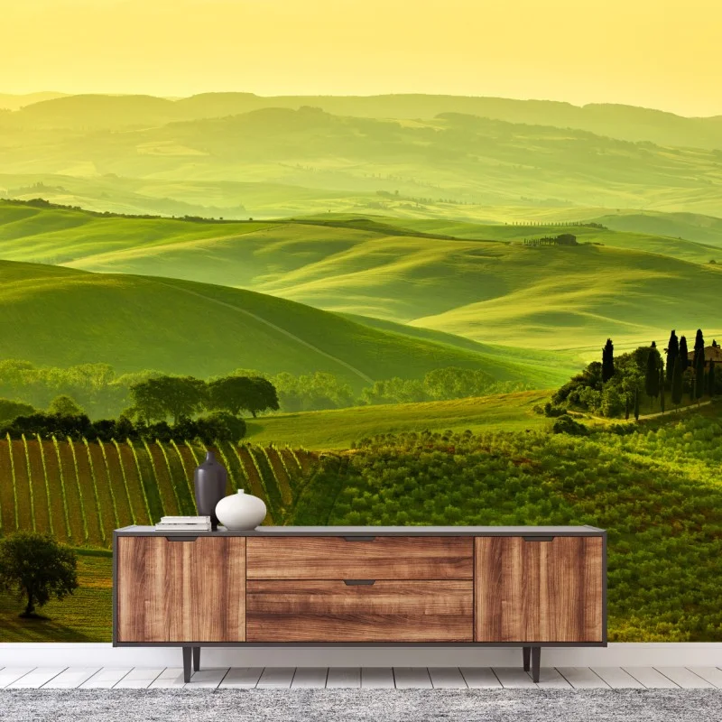 Wall mural Tuscany rolling hills landscape