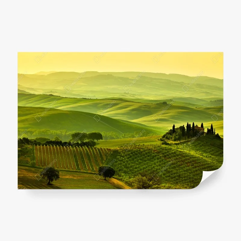 Wall mural Tuscany rolling hills landscape
