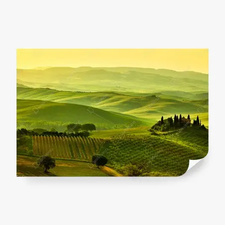 Wall mural Tuscany rolling hills landscape • Wallissimo®