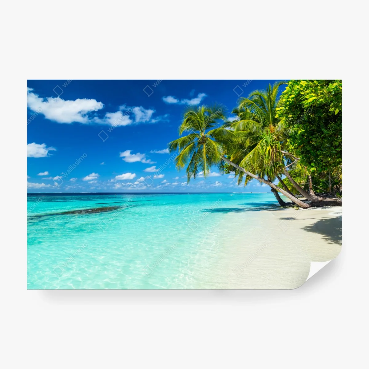 Wall mural tropical turquoise beach with leaning palms • Wallissimo® Wall mural tropical turquoise beach with leaning palms • Wallissimo®