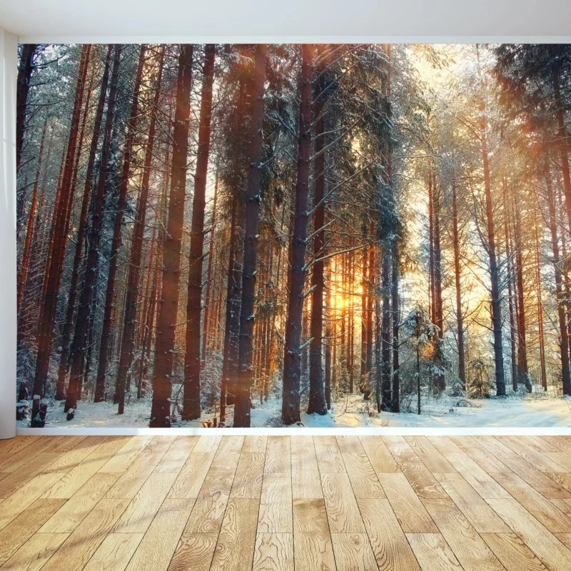 Wall mural winter forest sunrise glow