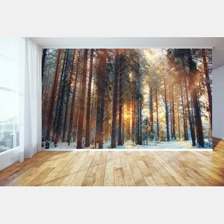 Wall mural winter forest sunrise glow • Wallissimo®