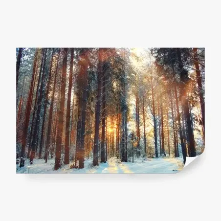 Wall mural winter forest sunrise glow • Wallissimo®