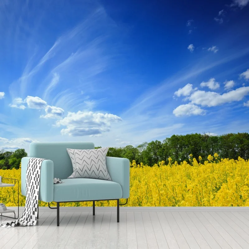 Wall mural Polish rapeseed field under blue sky