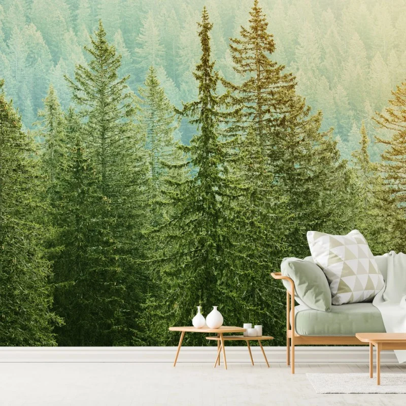 Wall mural sunlit evergreen forest
