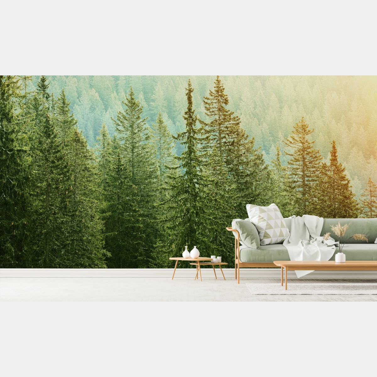 Wall mural sunlit evergreen forest • Wallissimo®