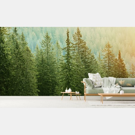 Wall mural sunlit evergreen forest • Wallissimo®