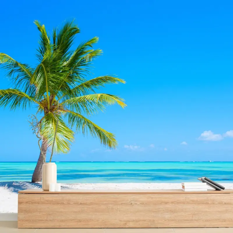 Wall mural tropical palm on white sand beach