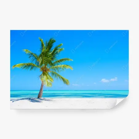 Wall mural tropical palm on white sand beach • Wallissimo®