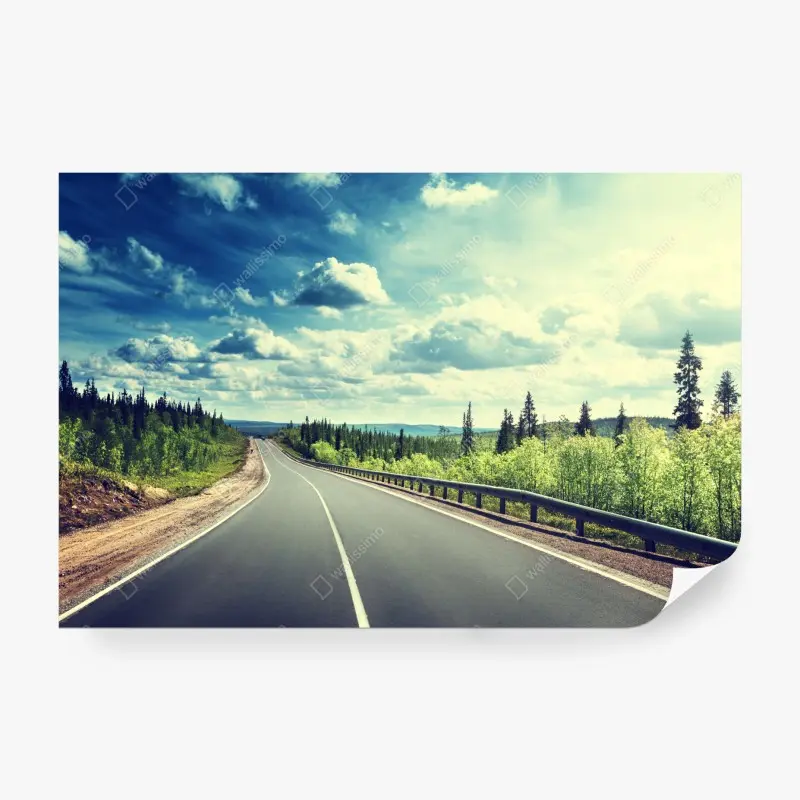 Wall mural sunlit forest road to the horizon