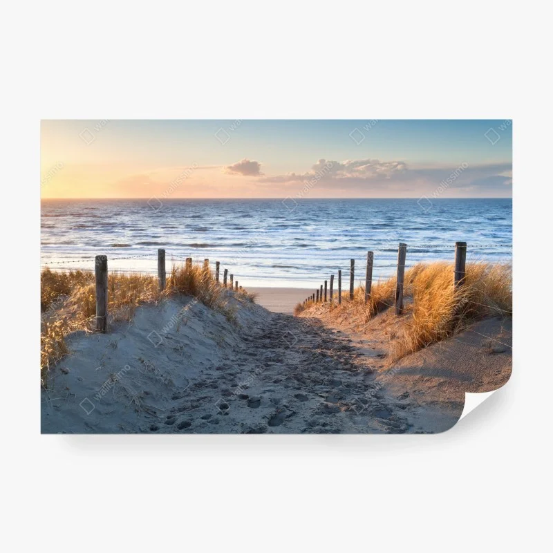 Wall mural sunset path to the North Sea, Holland
