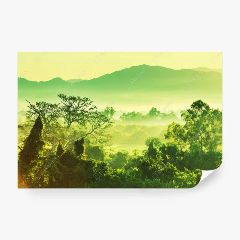 Wall mural lush tropical jungle landscape