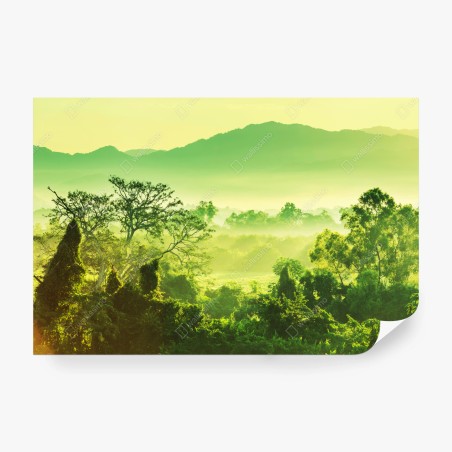 Wall mural lush tropical jungle landscape • Wallissimo®
