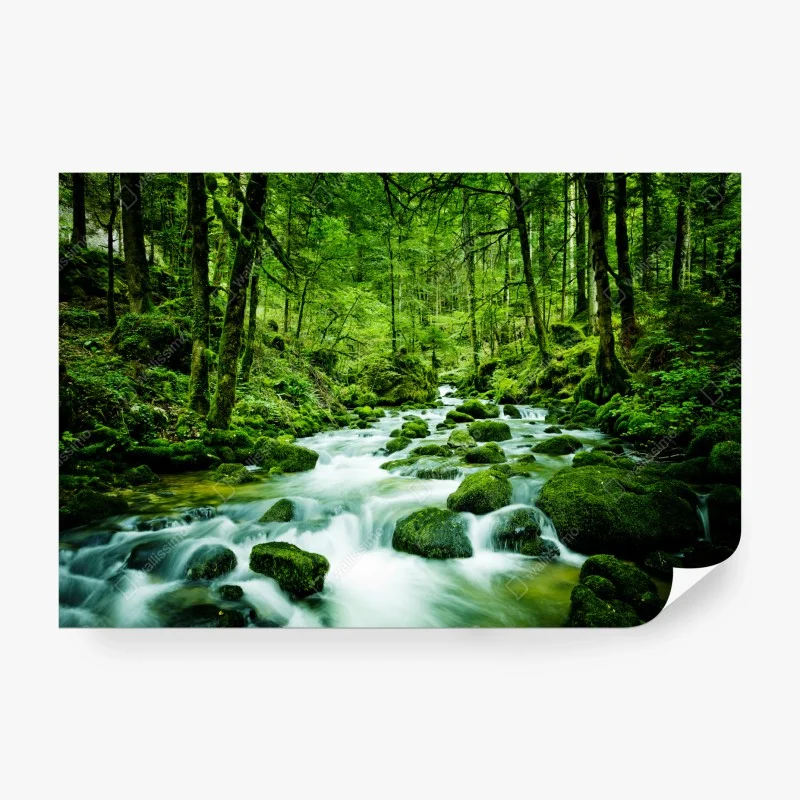 Wall mural mossy forest stream