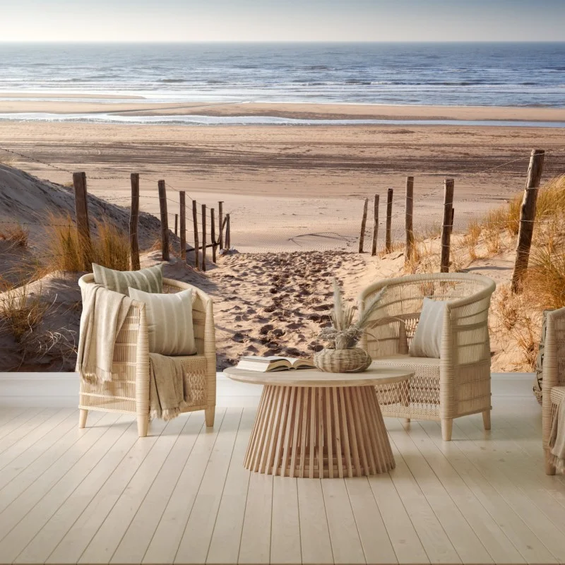 Wall mural sunlit path to the North Sea