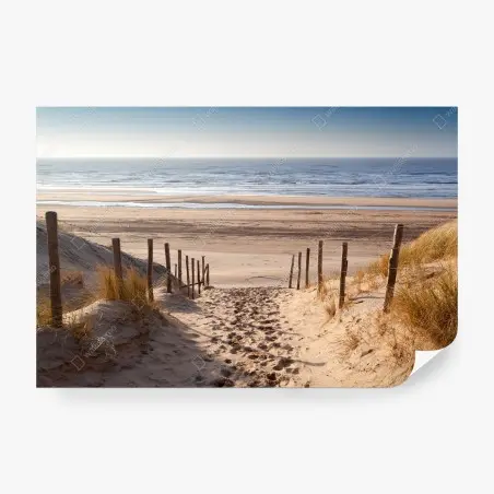 Wall mural sunlit path to the North Sea • Wallissimo®