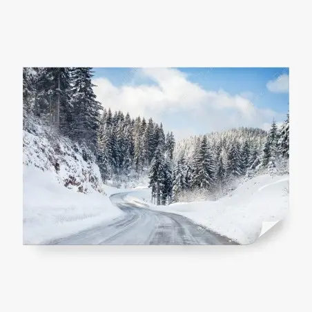 Wall mural winter road through snowy fir forest • Wallissimo®
