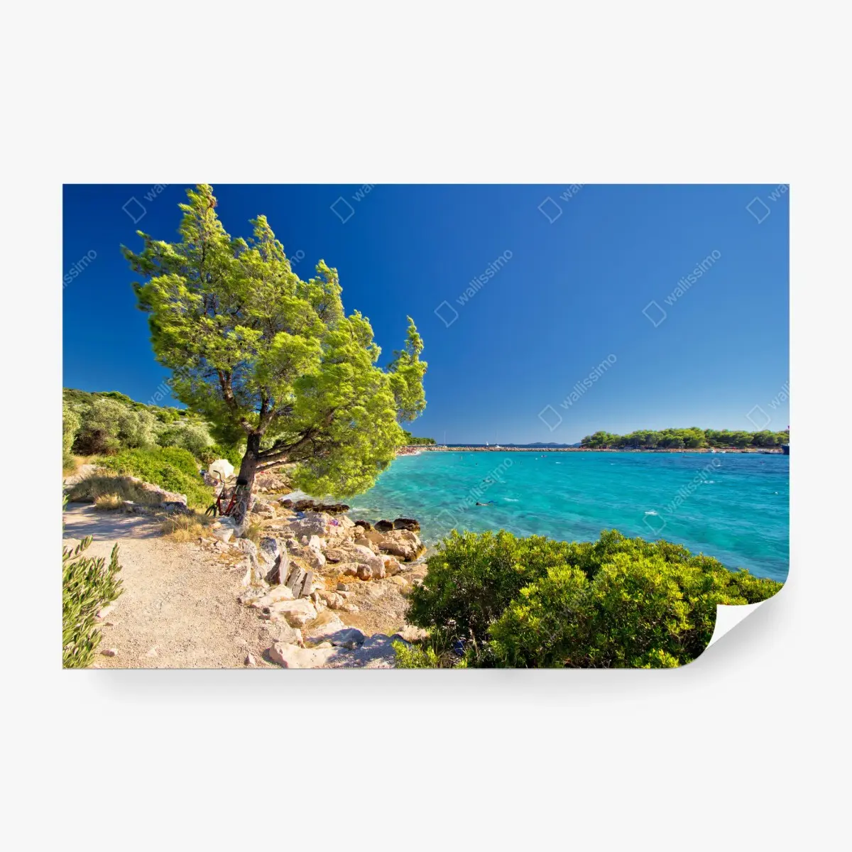 Wall mural idyllic turquoise beach on Murter Island • Wallissimo®