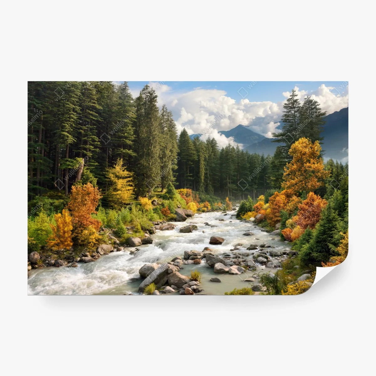 Wall mural autumn mountain river landscape • Wallissimo®
