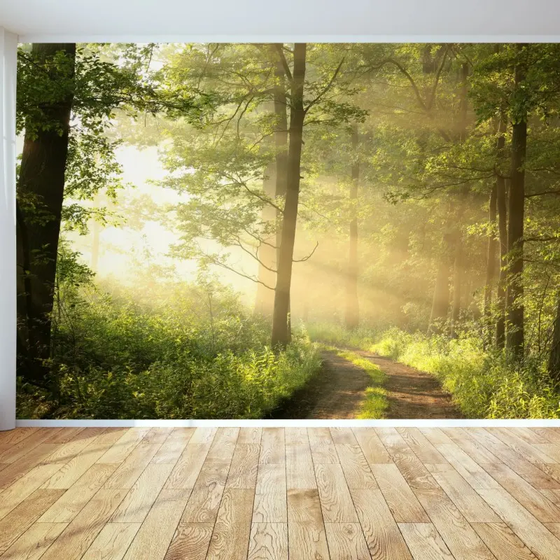 Wall mural morning light in a sunlit forest