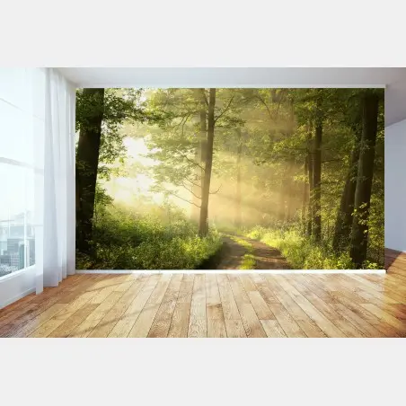 Wall mural morning light in a sunlit forest • Wallissimo®