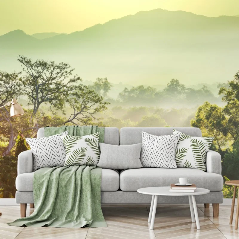 Wall mural misty Vietnam jungle sunrise