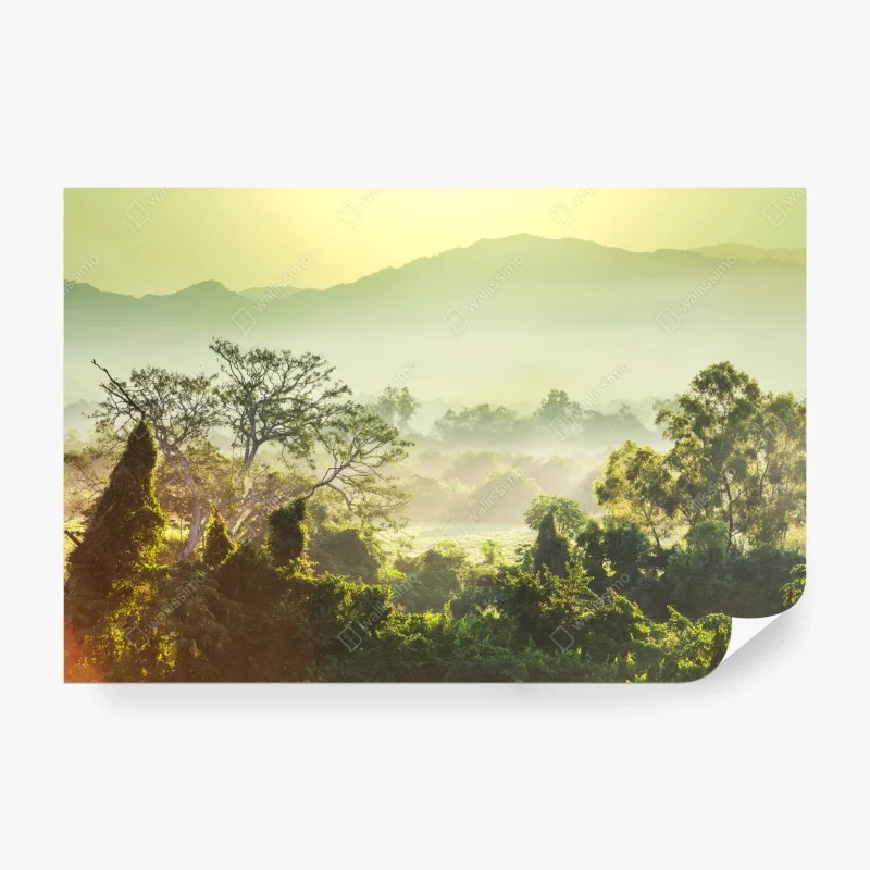 Wall mural misty Vietnam jungle sunrise