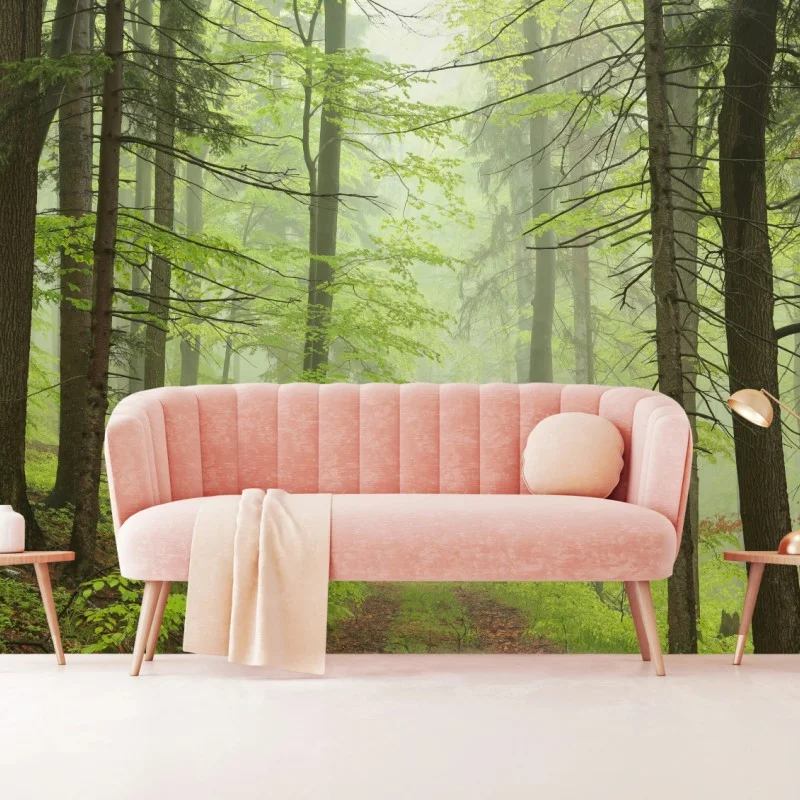 Wall mural misty green forest trail