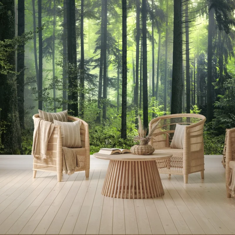Wall mural mysterious green spring forest