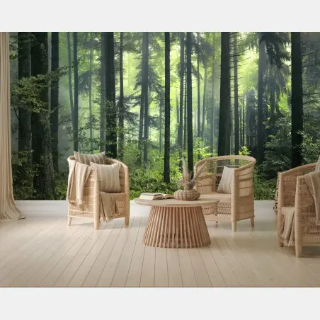 Wall mural mysterious green spring forest • Wallissimo®