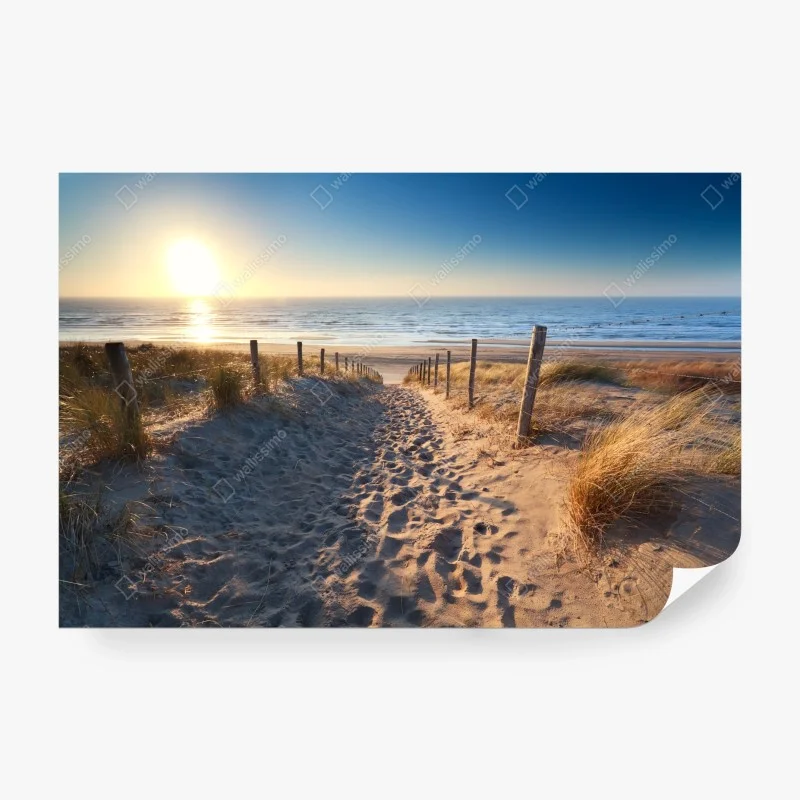Wall mural sunset path to the sea in Zandvoort
