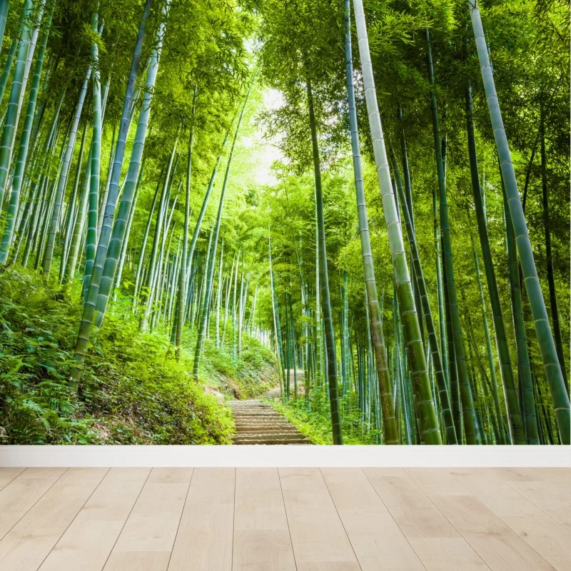 Wall mural serene bamboo forest pathway