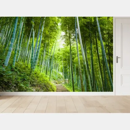 Wall mural serene bamboo forest pathway • Wallissimo®