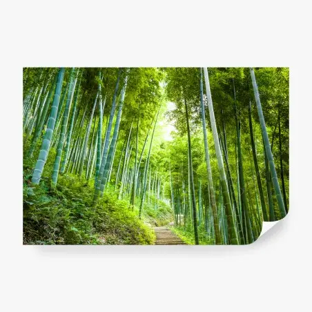 Wall mural serene bamboo forest pathway • Wallissimo®