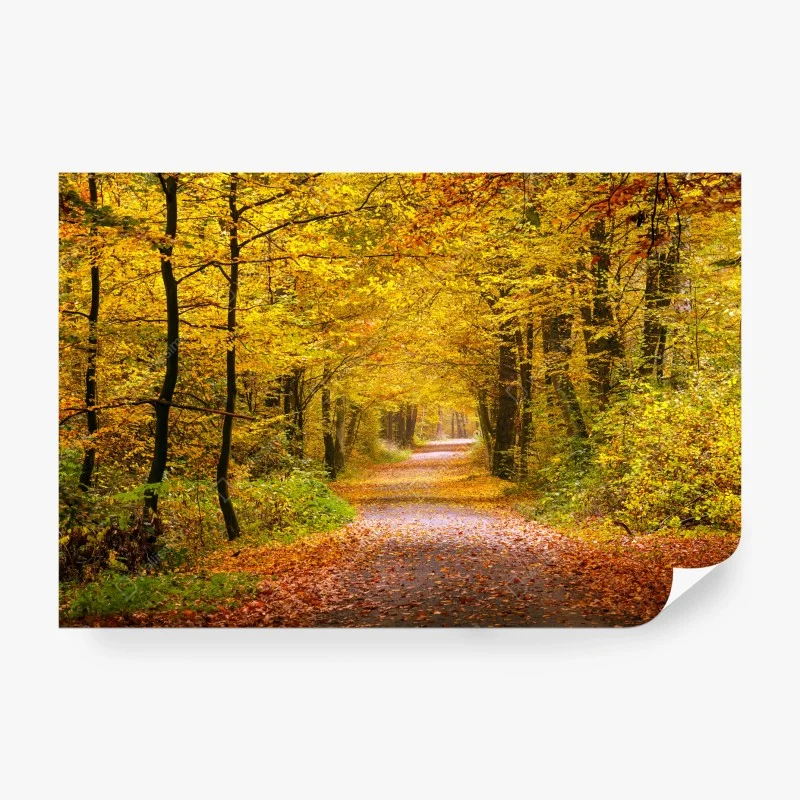 Wall mural golden autumn forest pathway