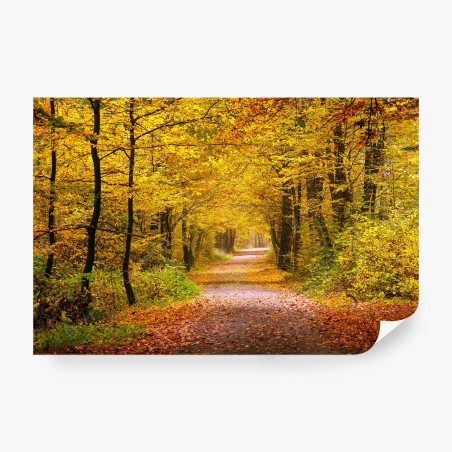 Wall mural golden autumn forest pathway • Wallissimo®