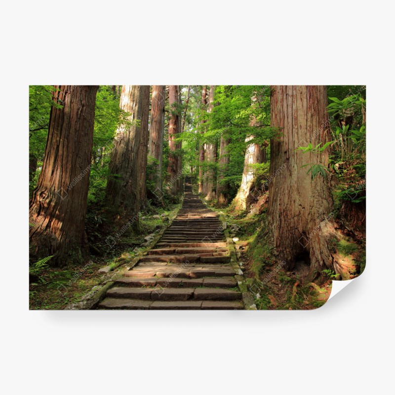 Wall mural ancient forest stone steps
