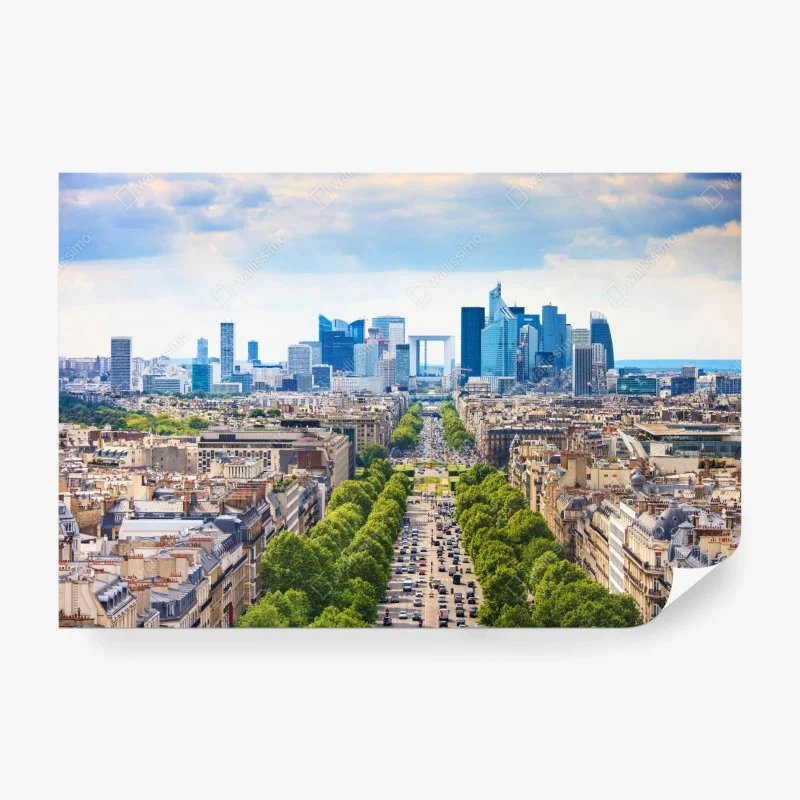 Wall mural Paris skyline over tree-lined avenue