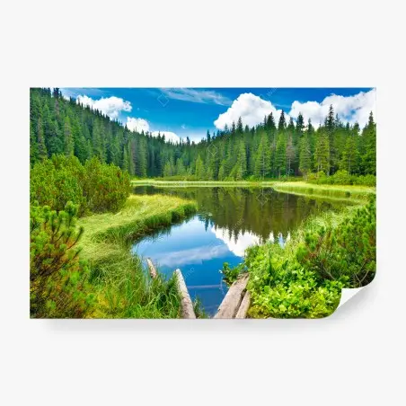 Wall mural tranquil forest lake with wooden bridge • Wallissimo®