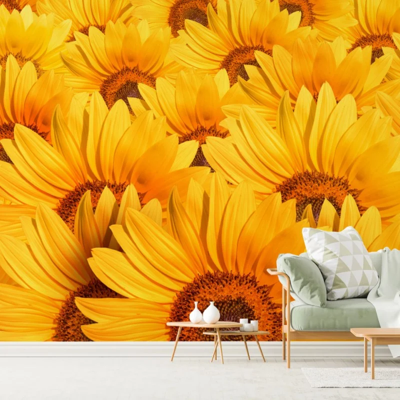 Wall mural golden sunflower field