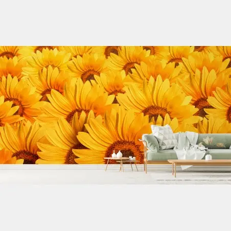 Wall mural golden sunflower field • Wallissimo®