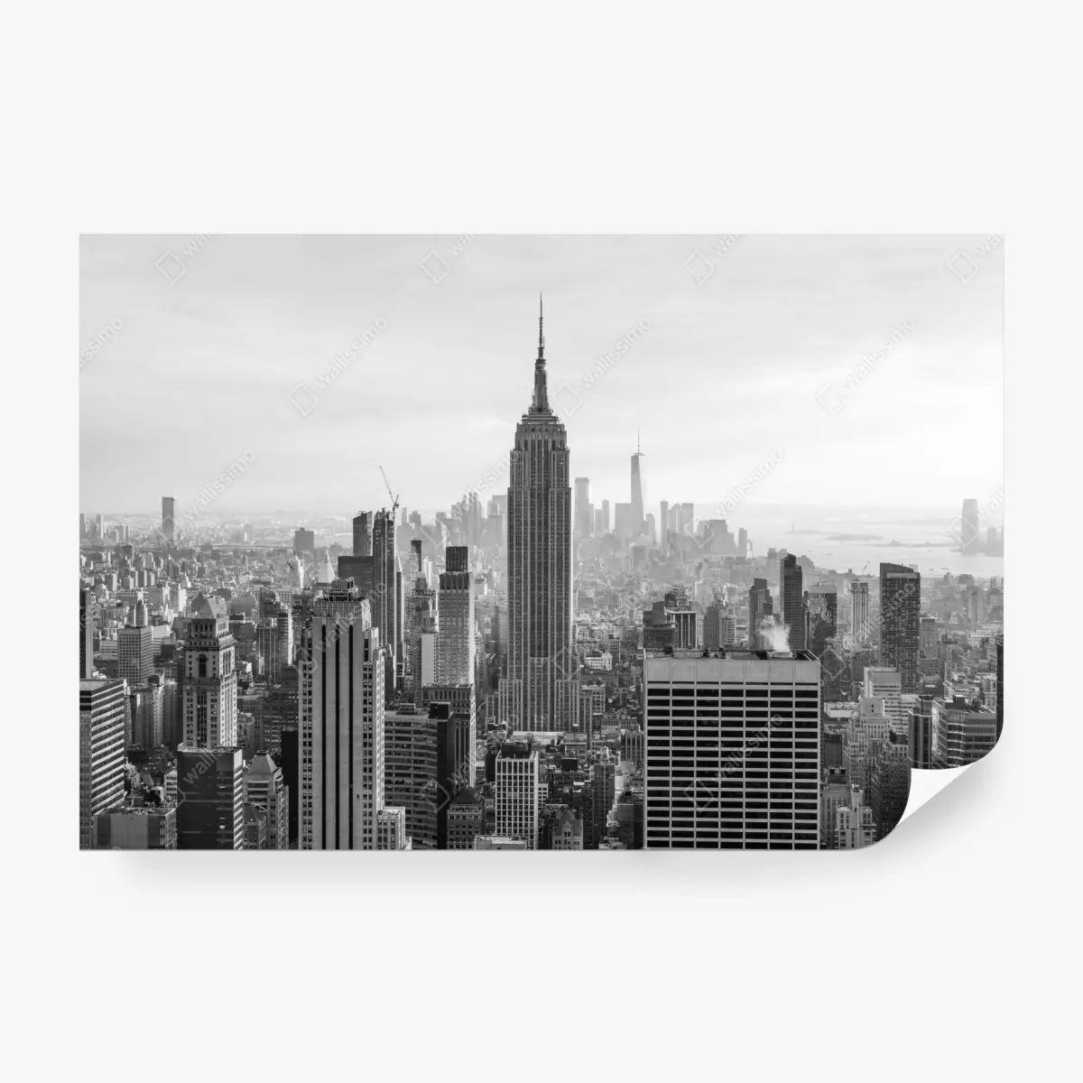 Wall mural New York skyline in black and white ⁕ Wallissimo®