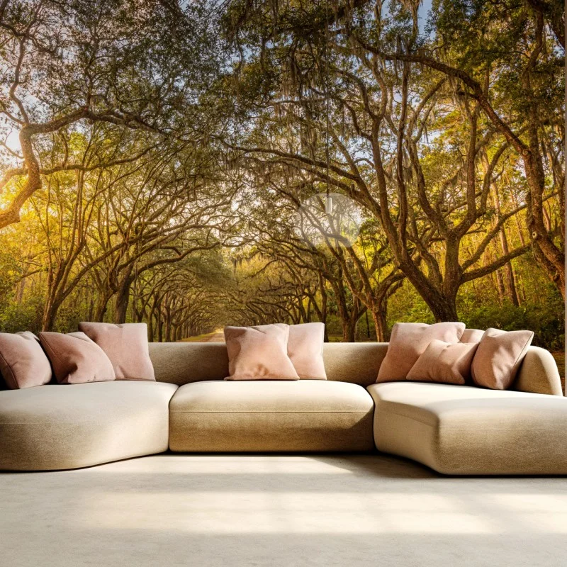 Wall mural sunlit oak avenue near Savannah