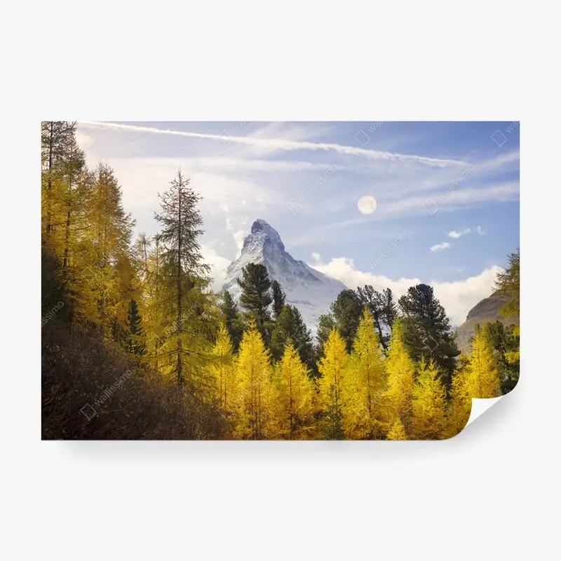 Wall mural • Wallissimo®