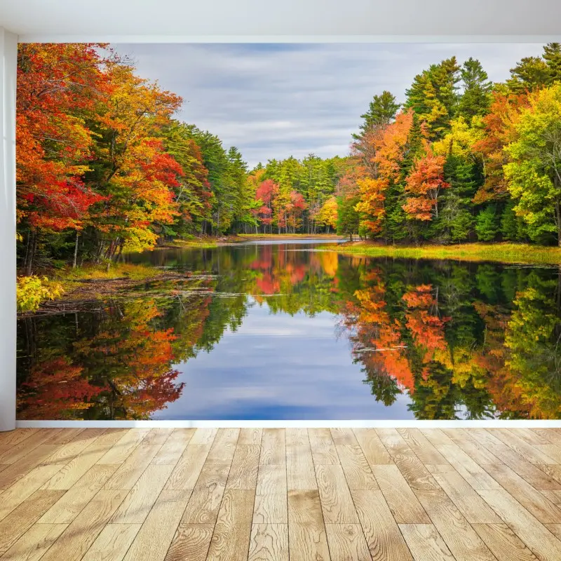 Wall mural autumn reflections in New England